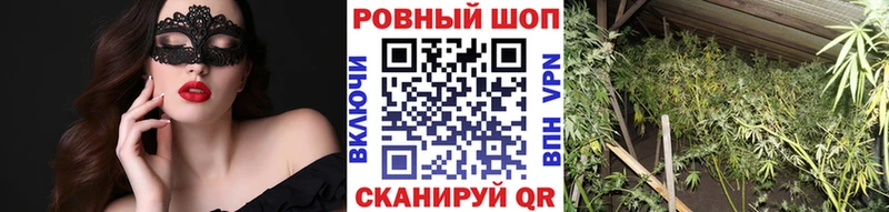 Купить закладку Кашин Cocaine СК Гашиш Меф мяу мяу