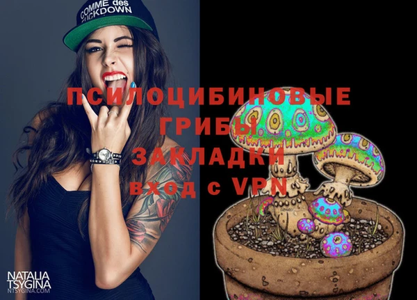ГАЛЛЮЦИНОГЕННЫЕ ГРИБЫ Новодвинск