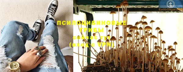 винт Нягань